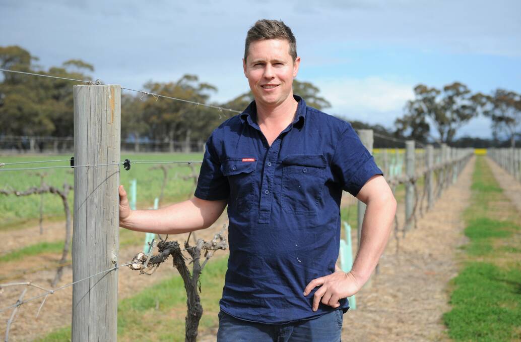 FUTURE: Robert Staehr, of Laharum, has received a Young Farmers Scholarship. Picture: JADE BATE