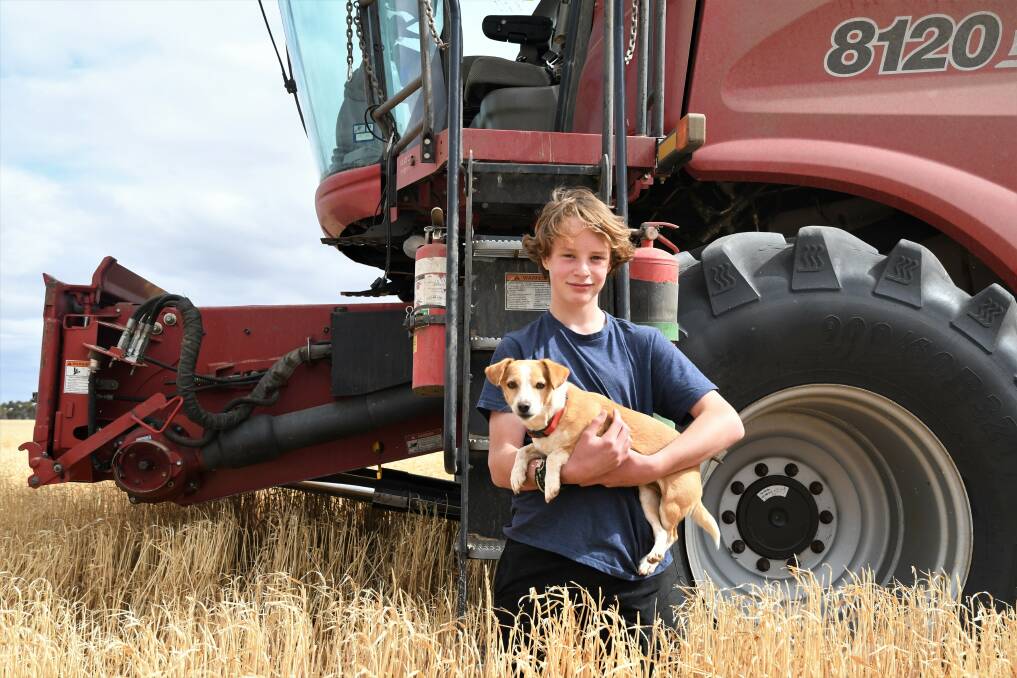 Alex Oxbrow, 13 of Rupanyup South, (with Jessie the dog) has been helping his dad Paul Oxbrow with the 2019 harvest. 