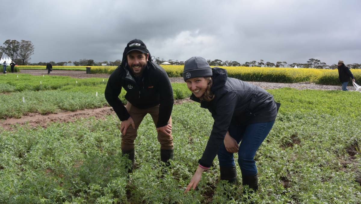 FIELD DAY: Angus Calder and Kaylene Nuske, of Bayer, took a look at Birchip Cropping Group's chickpea fungicide trials at BCG 2016's Main Field Day. Picture: GREGOR HEARD