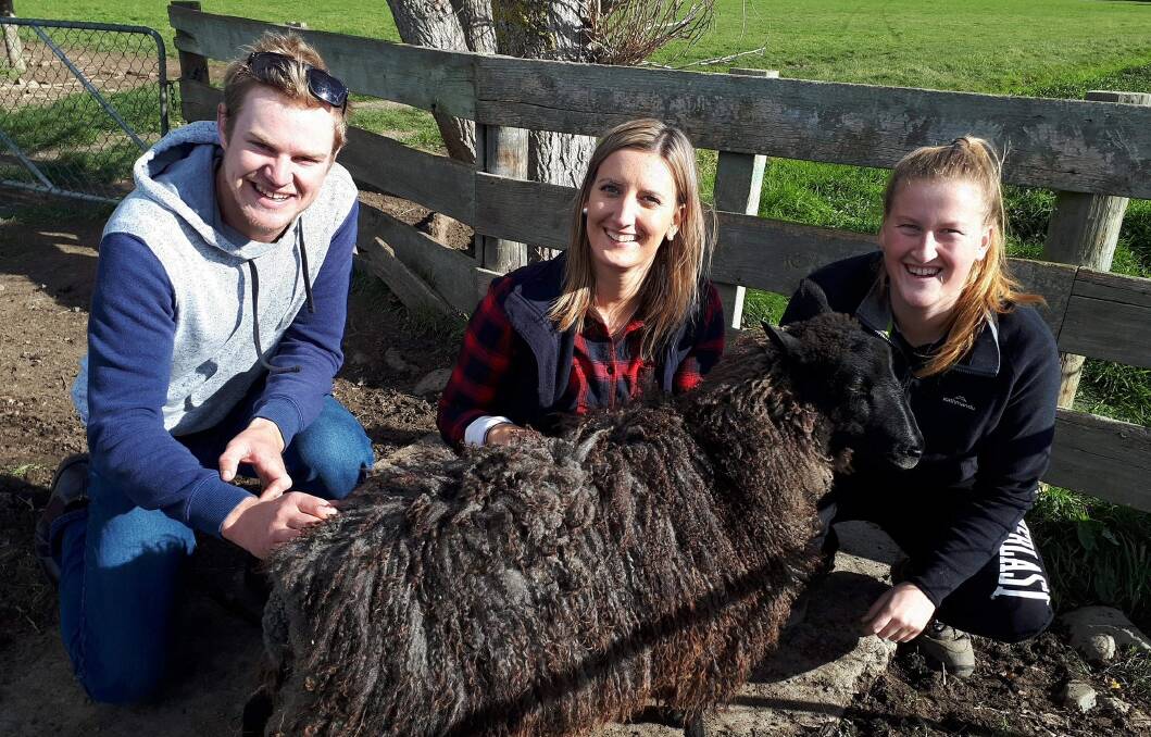 EXPERIENCE: Second year Longerenong College students Kane Mason, Ellie McDonald and Jaime Vagg are currently in New Zealand on placement. Picture: CONTRIBUTED