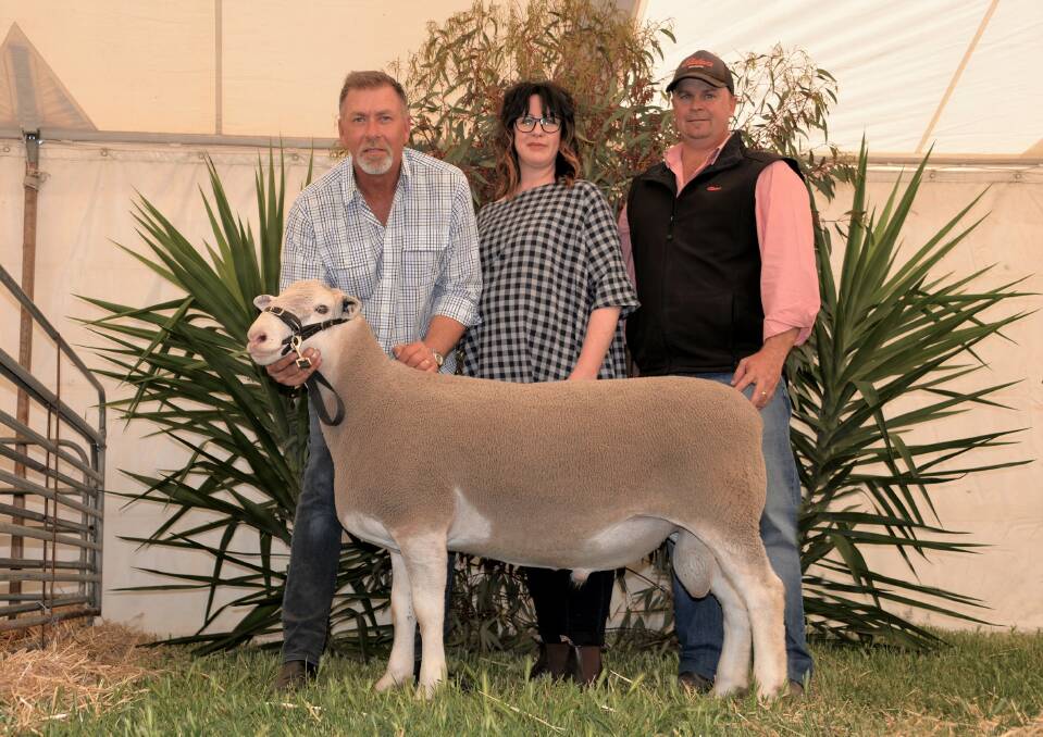 TOP PRICE: Detpa Grove's top ram was sold for $26,000. It is pictured with principals David and Michelle Pipkorn, and Elders Mildura’s Kelvin Fitzgerald. Picture: CONTRIBUTED