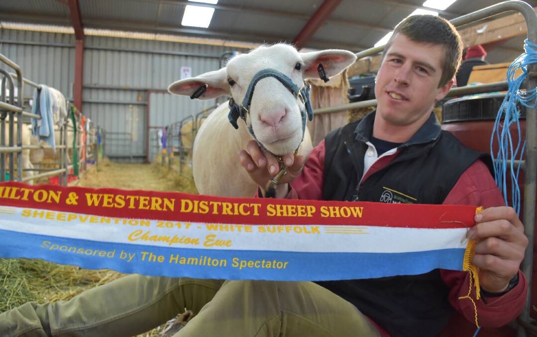 SHOWCASE: Tim Jorgensen of Mertex stud, Antwerp, with the stud's champion White Suffolk ewe at last year's Sheepvention event in Hamilton. Picture: STOCK AND LAND