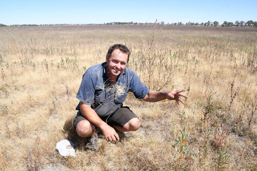 FRUSTRATION: Natimuk Lake Foreshore Committee member and farmer Brian Klowss with fairy grass at Natimuk Lake. Picture: SAMANTHA CAMARRI