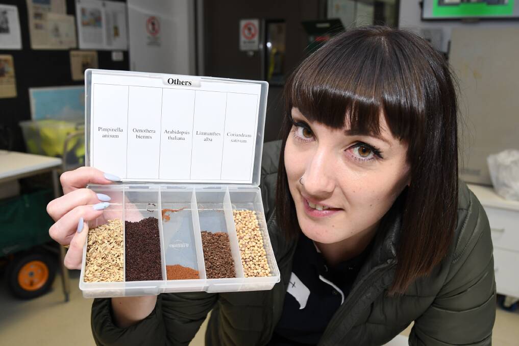 Research scientist Dr Kath Whitehouse with some of the seeds from the Australian Grains Genebank. Picture: SAMANTHA CAMARRI