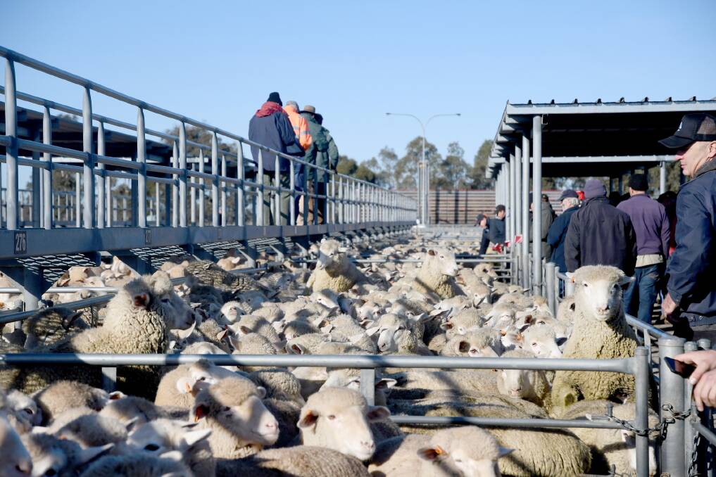 Horsham livestock exchange roof project budget increases by $662,000