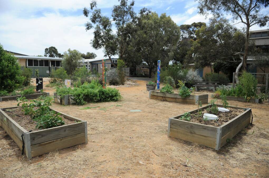 Horsham Primary School Rasmussen Campus’ big win for sensory garden