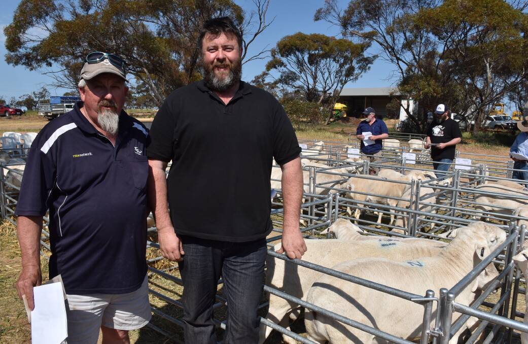 VOLUME BUYER: TDC agent Steven Hill, Penola, SA, assisted Jarrad Simcock, Bool Lagoon, SA, in buying 10 Gamadale Australian White rams.