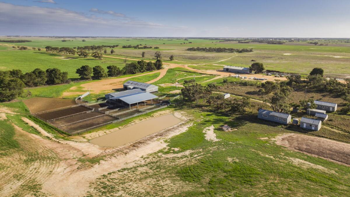 Telopea Downs was the main acquisition for the McBride family's company which owns more than one million hectares.