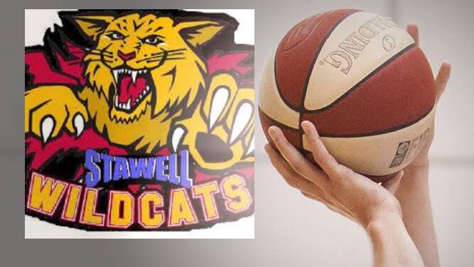Concerns raised for future of basketball in Stawell | Poll
