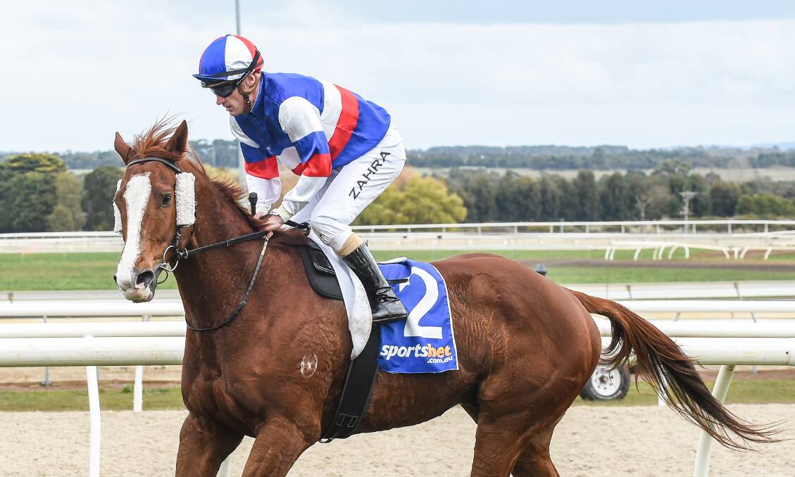 WILD RIDE: Jockey Mark Zahra bounced back from being dislodged pre-race to guide Ammoudi Bay home in the Porter Plant Benchmark70 Handicap. Picture: Getty Images.