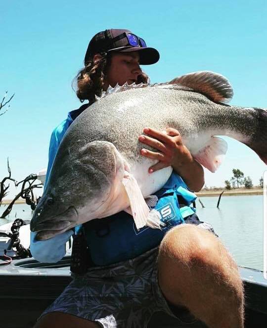 YOU BEAUTY: Daniel Bolwell with a monster 102cm Murray cod. 