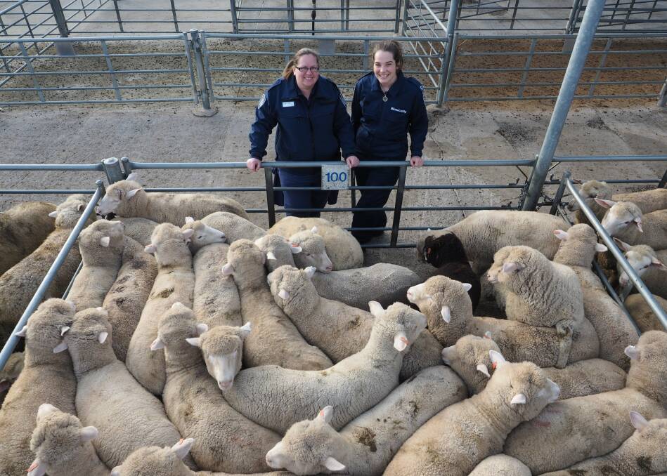 CRUCIAL: Agriculture Victoria staff work with producers to maintain animal health and welfare standards.