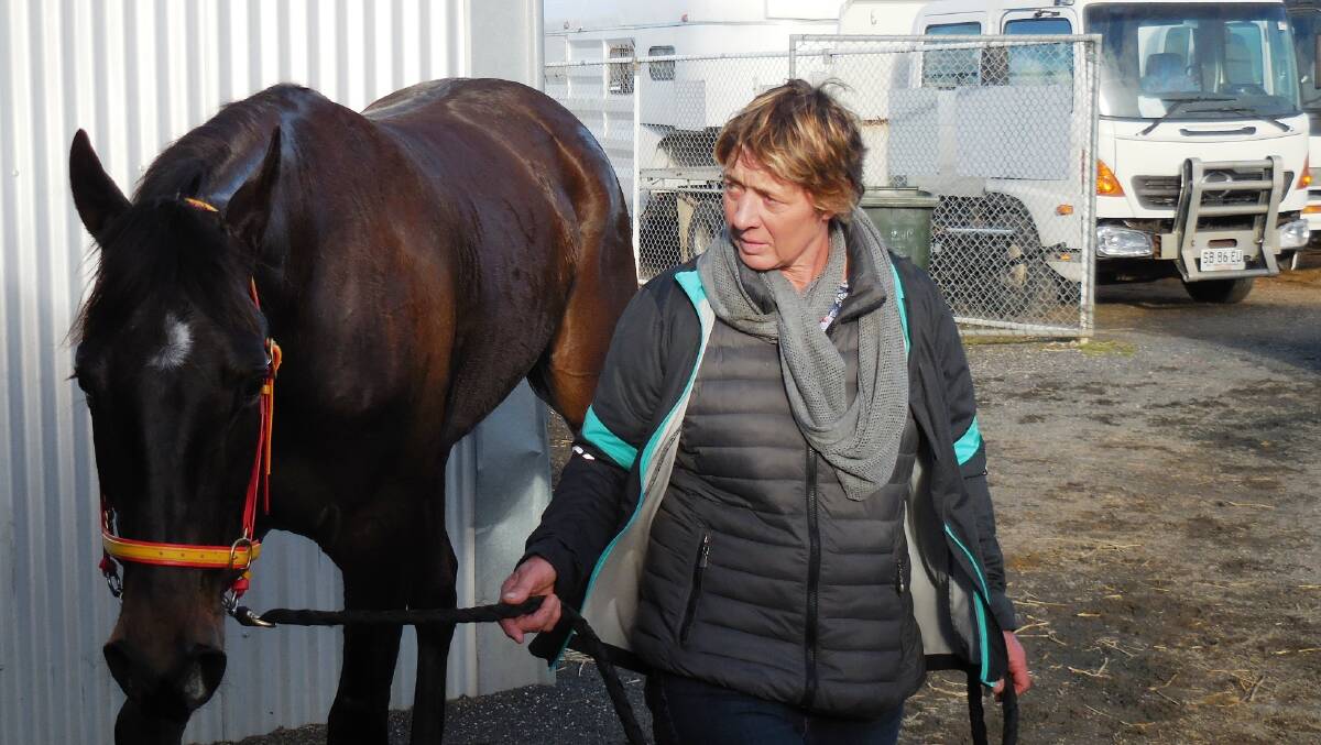 READY: Terang trainer Marg Lee leads her horse to the wash area for a hose down after racing at Horsham recently. Lee is set for a very busy Sunday afternoon, with seven starters at Laidlaw Park in Stawell.