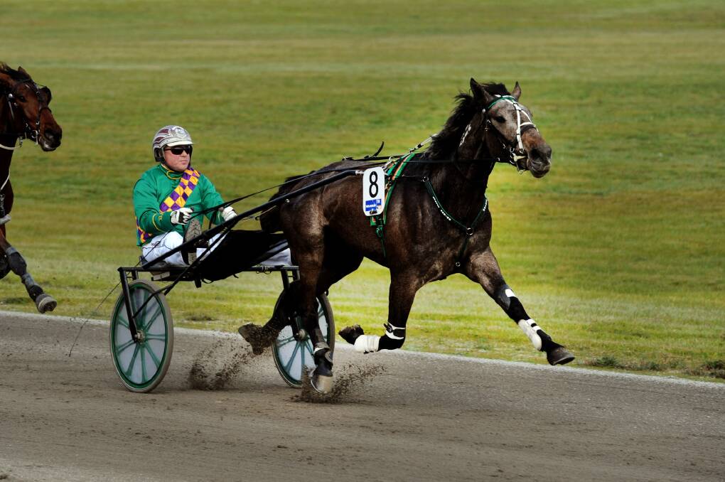 CHANGE: Anthony Butt drives Eyrish Mist home in The Maori Legends race at Stawell in 2017. 