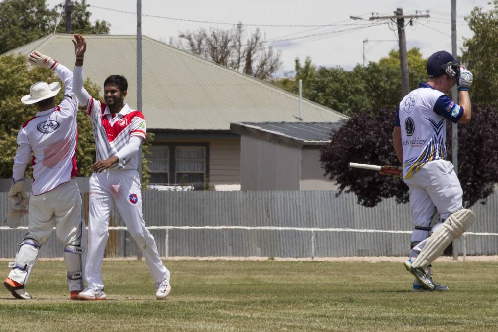 Homers' Mohan Bandara and Adam Atwood celebrate a wicket at the weekend. Picture: PETER PICKERING