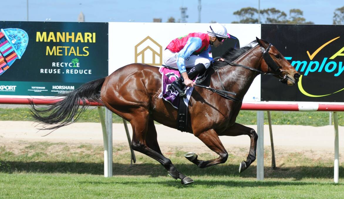 Discovered wins race five on Horsham Cup day. Picture: MATT CURRILL
