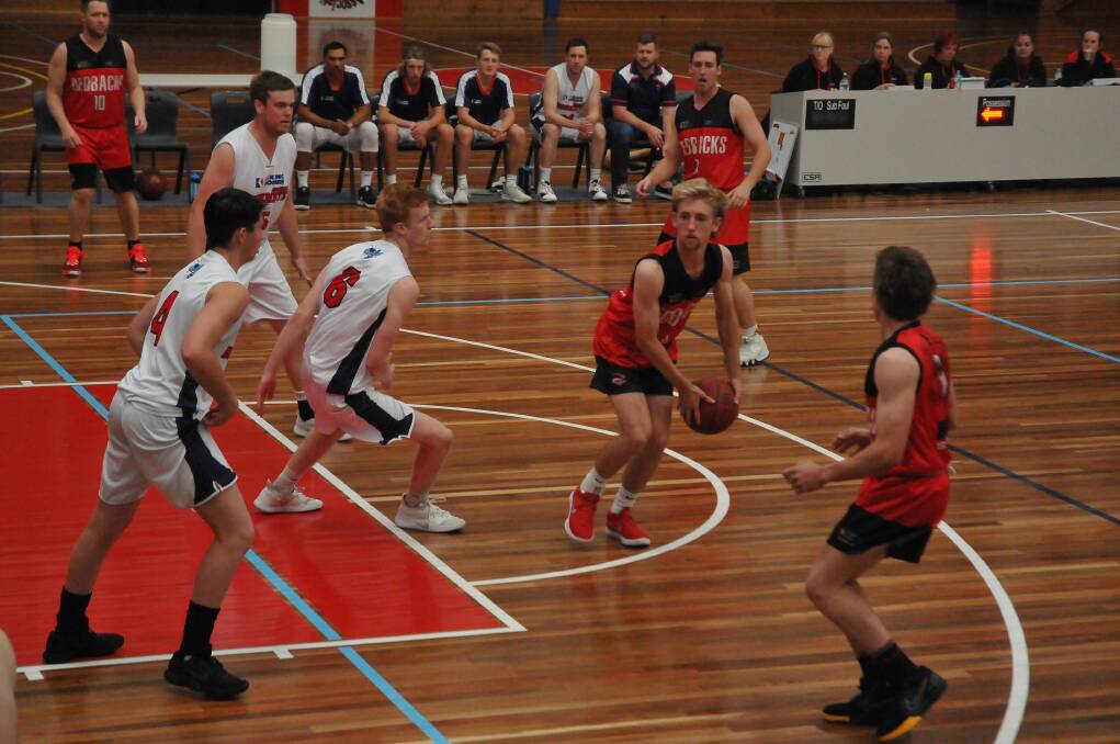 The Hornets impressed across the court. Picture: CASSANDRA LANGLEY
