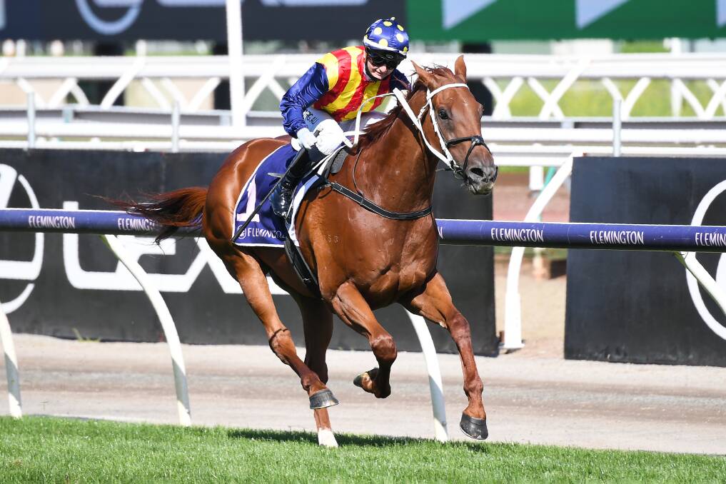 SUPERSTAR: Nature Strip charges down the straight in the Black Caviar Lightning Stakes. Picture: REG RYAN/RACING PHOTOS