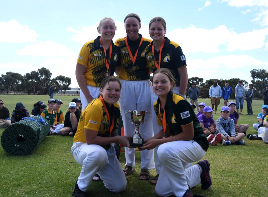 CHAMPIONS: The premiership-winning Wimmera Roos side. Picture: MATT CURRILL