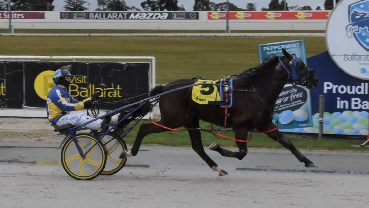 WINNER: Glenorchy pacer Local Icon strides home to score for owner/trainer Greg Cooper and driver Grant Campbell at Ballarat last Wednesday afternoon. PHOTO: CLAIRE WESTON PHOTOGRAPHY