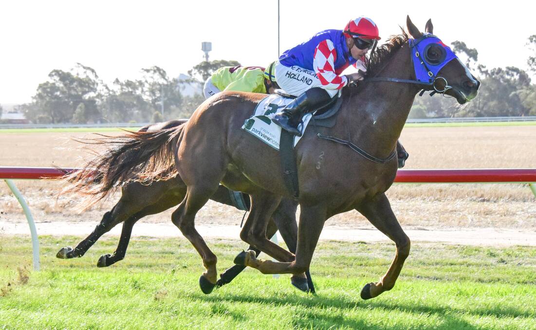 NOMINEE: Rupture storms home to claim the 2020 Warracknabeal Cup. Picture: BRENDAN MCCARTHY/RACING PHOTOS
