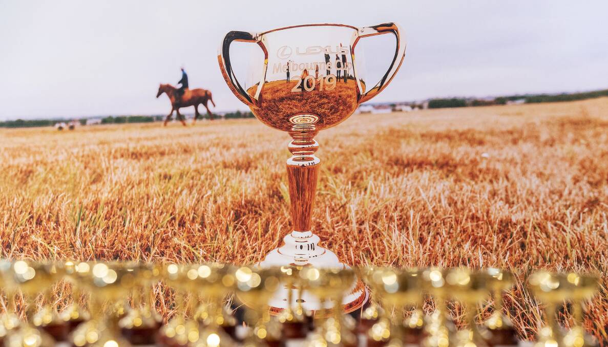 The Melbourne Cup will visit Brim and St Arnaud. Picture: AAP IMAGE/DANIEL POCKETT