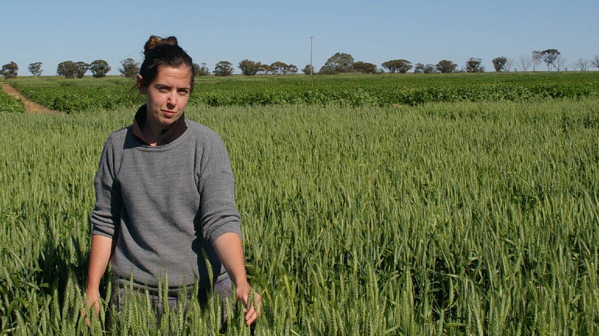 ACCOMPLISHMENT: Dr Katherine Dunsford, an Agriculture Victoria research scientist, is based at Horsham's Grains Innovation Park. Picture: CONTRIBUTED 
