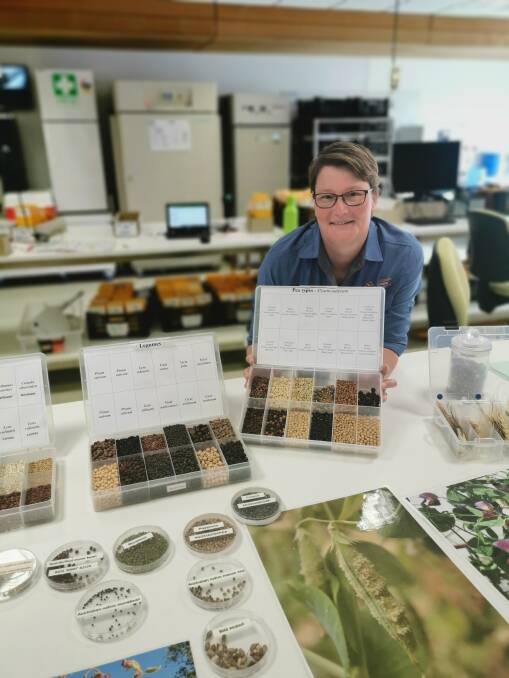 IMPORTANT WORK: Sally Norton at the Australian Grains Genebank in Horsham. Picture: AMELIA CRAFTER 