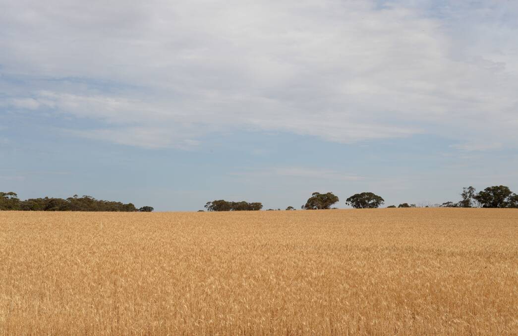 TARGET SET: An Australian agriculture target of $100 billion is ambitious, but achievable, a Parliament committee has found. Picture: JIM ALDERSEY 