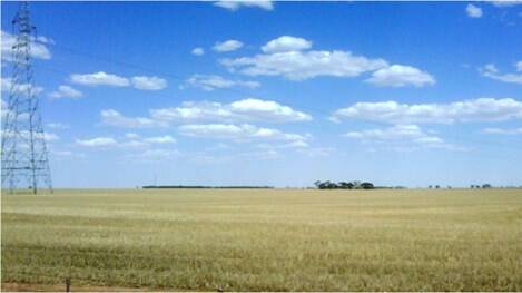 The site of the proposed Murra Warra wind farm.