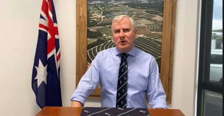 Riverina MP Michael McCormack appears via Zoom at a Regional Australia Institute webinar on the upcoming federal budget.