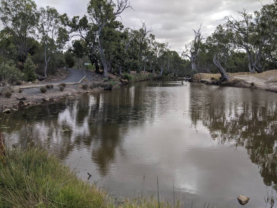The Wimmera River west of the weir in Horsham. 