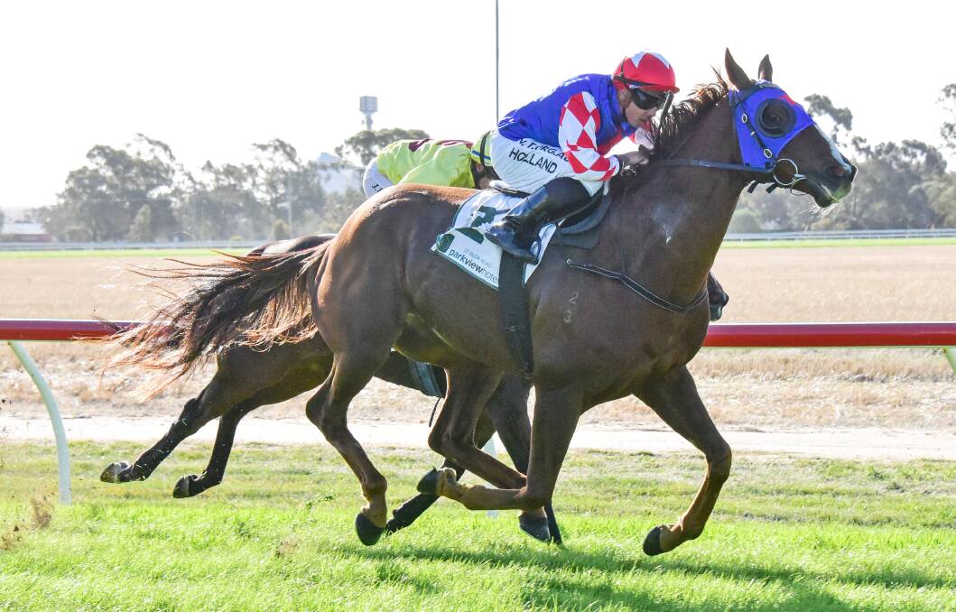 ON TOP: Rupture hits the lead in the 2020 Warracknabeal Cup. Picture: BRENDAN MCCARTHY/RACING PHOTOS