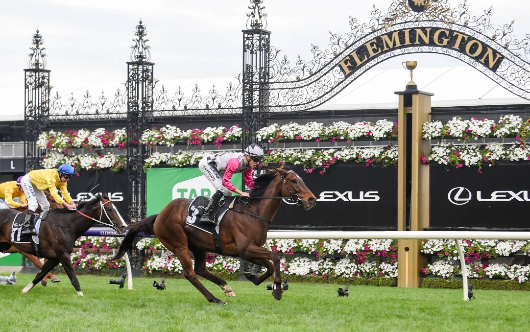 Surprise Baby wins the The Bart Cummings at Flemington Racecourse to qualify for the Melbourne Cup. Picture: Natasha Morello /Racing Photos