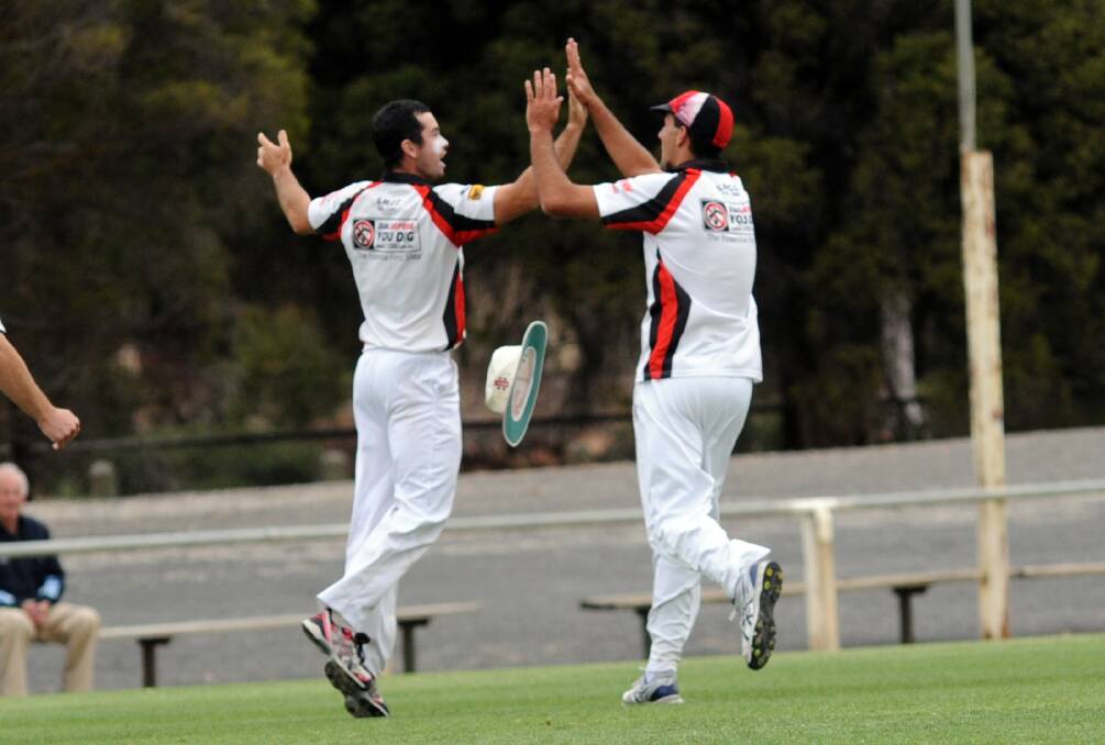 Matt Combe and Tony Caccaviello celebrate a wicket while playing together with the Horsham Saints.