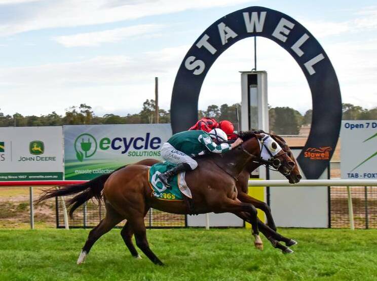 Barry The Baptist claims a slender win at Stawell. Picture: BRENDAN McCARTHY/RACING PHOTOS