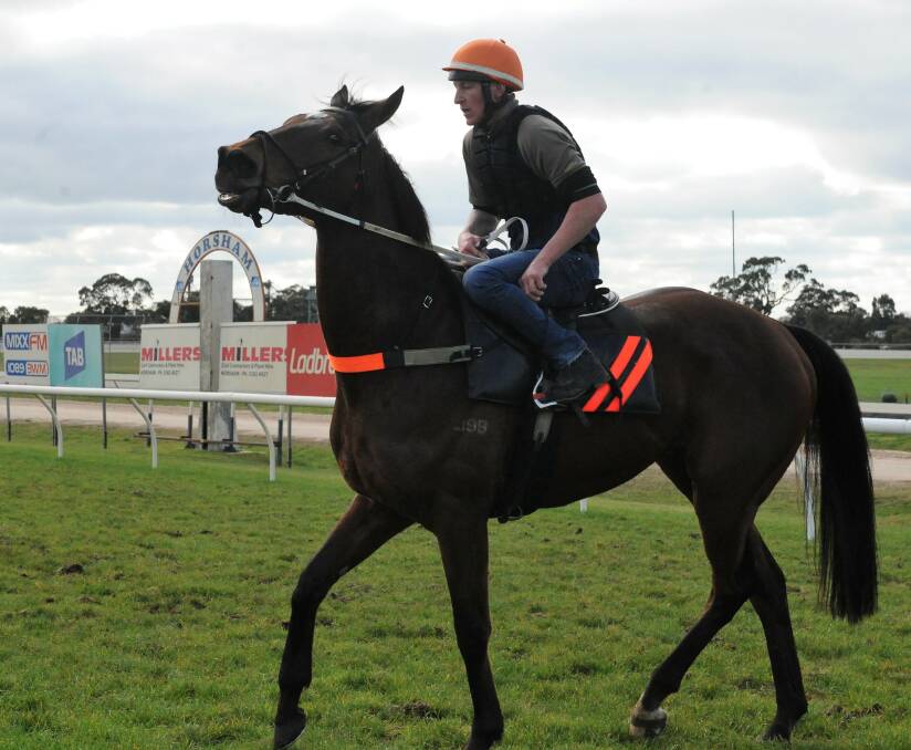 Black Heart Bart at the Horsham racecourse. Picture: RICHARD CRABTREE