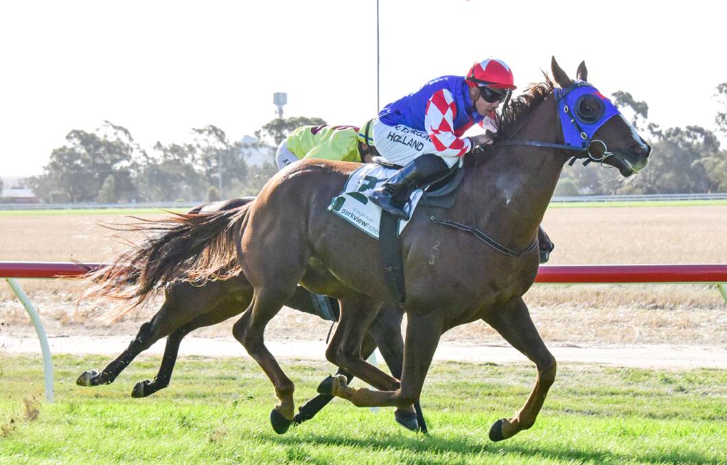 Rupture hits the lead in the 2020 Warracknabeal Cup. Picture: BRENDAN MCCARTHY/RACING PHOTOS