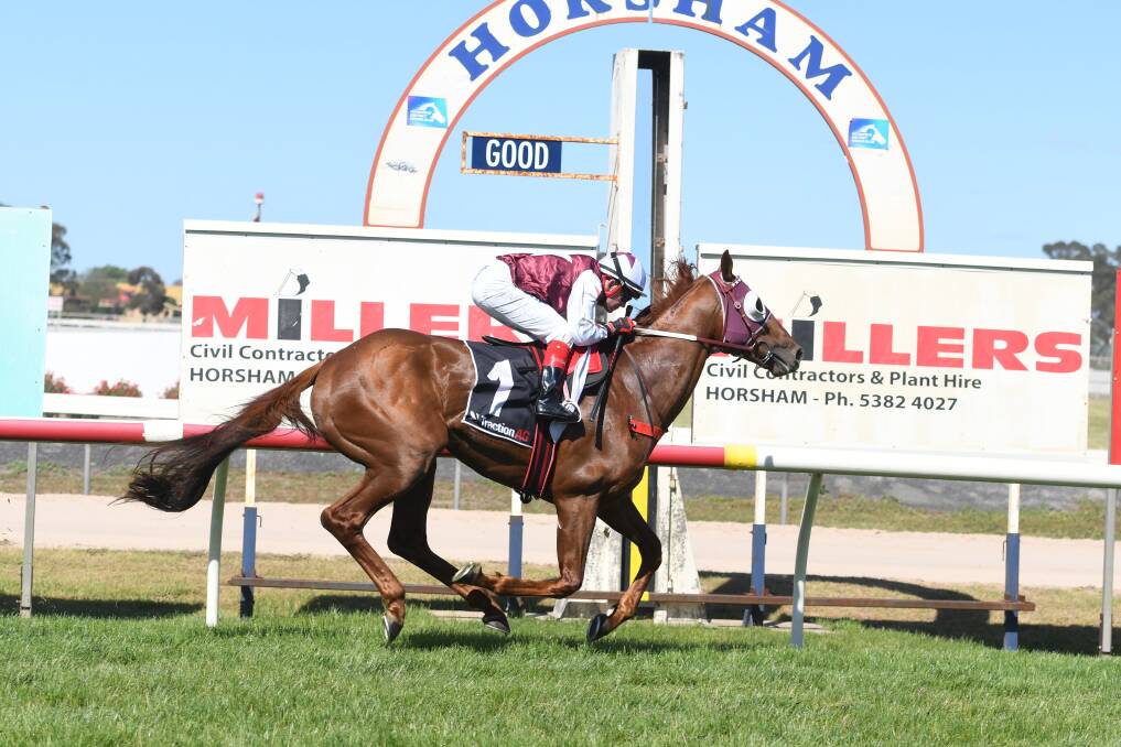 VICTORY: Horsham's Dean Yendall rides the Darren Weir-trained Another Coldie to a win in the Horsham Cup on Sunday. Picture: SAMANTHA CAMARRI