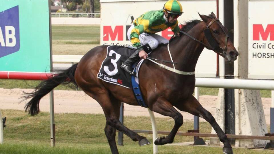 Our Bottino won last year's Horsham Cup with a track record. Picture: RACING PHOTOS