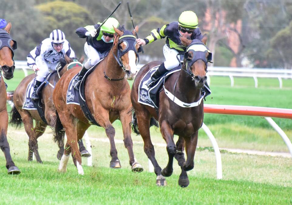 BENDIGO BOON: Jess Philpot urges the Anna Yates-trained Redjina to the finish line on Saturday. Picture: RACING PHOTOS
