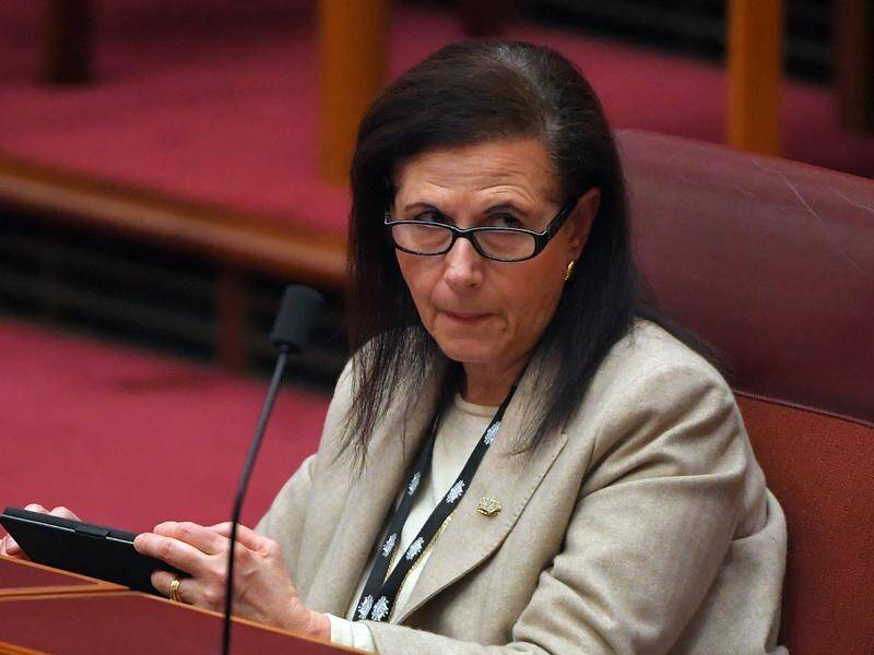 Senator Concetta Fierravanti-Wells has raised concerns about Chinese ownership of Australian ports.