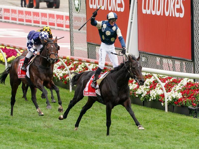 WS Cox Plate winner Sir Dragonet has been euthanised after sustaining an injury in trackwork.