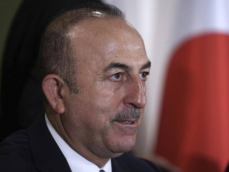 Turkish minister Mevlut Cavusoglu has slammed suggestions his president is playing a political game.