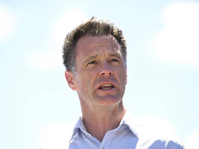 Labor leader Chris Minns says NSW needs to invest in reliable renewable energy solutions. (Lukas Coch/AAP PHOTOS)