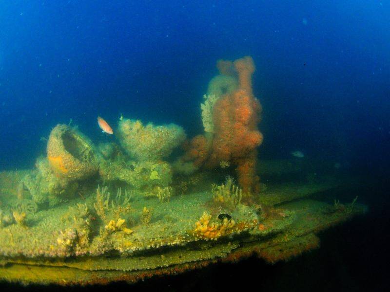 In devastating news for maritime historians, SS Alert shipwreck in Bass Strait has been looted.