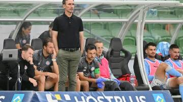 Melbourne City coach Aurelio Vidmar wants his team to focus on their own game, not other results. (Morgan Hancock/AAP PHOTOS)
