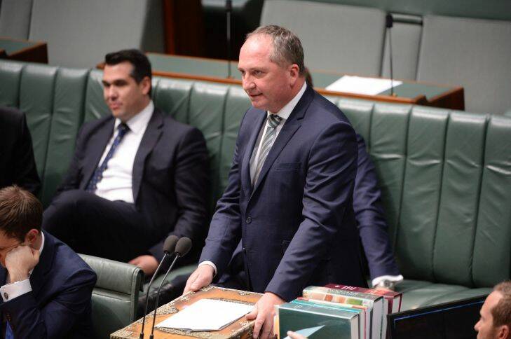 Barnaby Joyce speaks to an SSM amendment mentioning his own separation. Photo: Nick Moir 