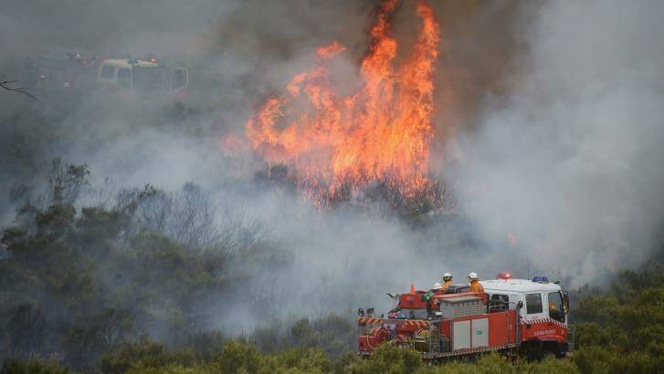 Firefighters tackle an out-of-control bushfire near Bathurst. Photo: Nick Moir