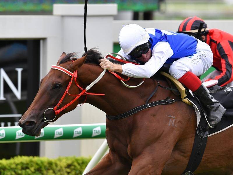 Miss Cavallo should appreciate a soft track at Doomben with rain expected to continue.